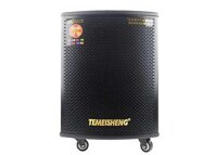 Loa kéo di động Temeisheng GD12-03