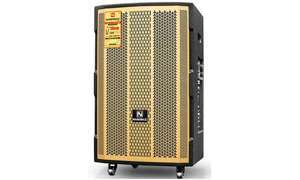 Loa Kéo Nanomax SK-12F8