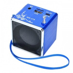 Loa Wster WS378 (WS-378)