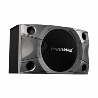 Loa Paramax P-900