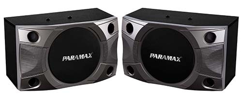 Loa Paramax P800