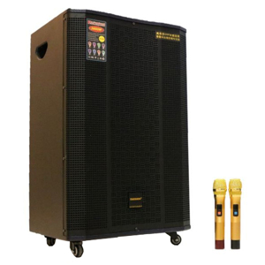 Loa Temeisheng ED153-15