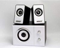 Loa vi tính FnT SW-801, 2.1