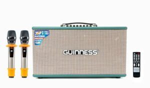 Loa xách tay di động Guinness GX-315