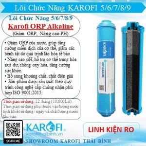 Lõi lọc Karofi ORP Ankaline