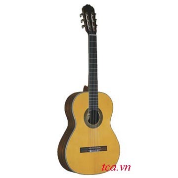 Đàn Guitar Suzuki SCG-31 