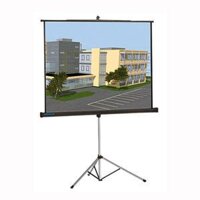 Màn chiếu Chân Dalite P96TS 136 Inch