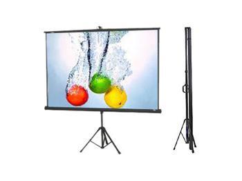 Màn chiếu đứng E-Screen TS1084 - 84 x 84 inch (2.13 x 2.13 m)