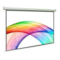 Màn chiếu Điện Dalite PW400ES 400Inch