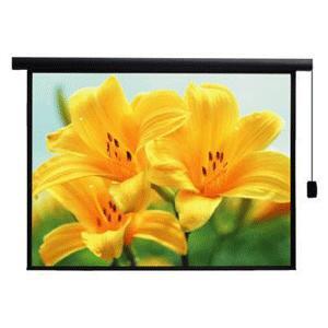 Màn chiếu điện E-Screen Pro ES1070 - 70 x 70 inch (1.78 x 1.78 m)