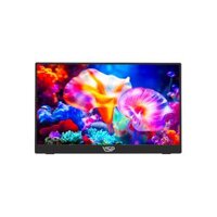 Màn hình di động VSP GP1612WS1 - 16 inch