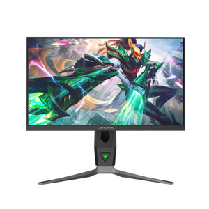 Màn hình máy tính AntGamer ANT257PF - 24.1 inch