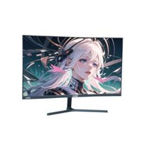 Màn hình máy tính Duan IP2509S - 25 inch