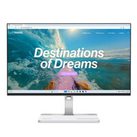 Màn hình máy tính Lenovo L24D-4C 67DCUAC6VN - 23.8 inch