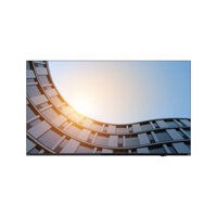 Màn hình máy tính Lenovo ThinkVision E65 LFD 64ACGAT1VN - 64.5 inch