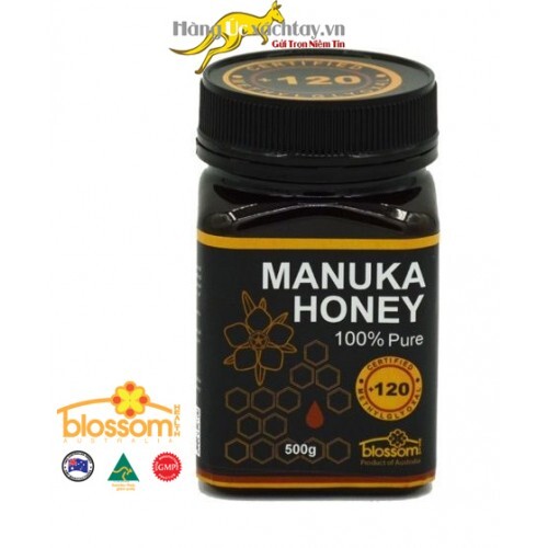 Mật ong Blossom Manuka Honey +120mg/kg 500g