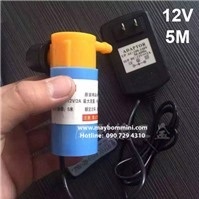 Máy bơm chìm mini 12V 5M