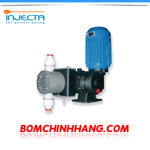 Máy bơm định lượng cơ khí Injecta kiểu màng TM04108C 370W (PVC)