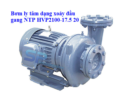 Máy bơm ly tâm dạng xoáy đầu Gang NTP HVP2100-17.5 20 (10HP)