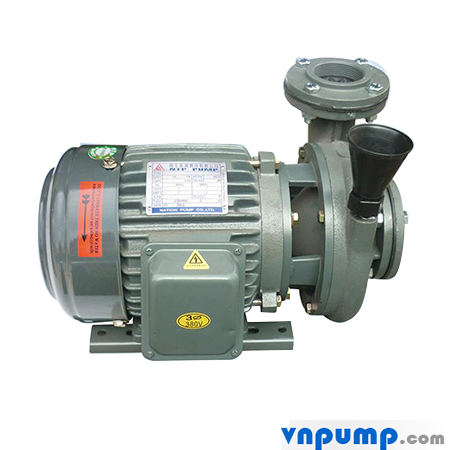 Máy bơm ly tâm dạng xoáy đầu gang NTP HVP250-11.5 205 2HP