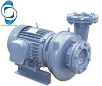 Máy bơm ly tâm đầu Gang NTP HVP250-13.7 20 (5HP)