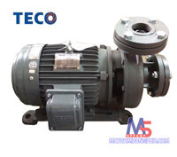 Máy bơm ly tâm Teco đầu gang G315-65-2P-15HP 15HP ( 2 cực)