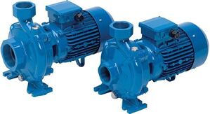 Máy bơm ly tâm trục ngang Speroni đầu gang CF550