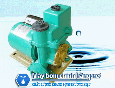 Máy bơm nước chân không Wilo PW 251E NK 250 W