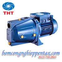 Máy bơm nước dân dụng Pentax CAM 100T 1HP