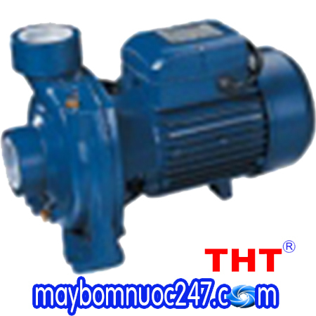 Máy bơm nước lưu lượng THT MHF/6C 1.5HP