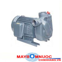 Máy bơm nước Tuabin NTP HTP250-22.2 265 3HP