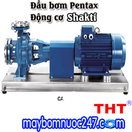 Máy bơm rời trục Pentax động cơ Shakti CA100-315B 20HP 4 cực