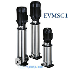 Máy bơm trục đứng Ebara EVMSG1 26F5/1.1 1.5HP 