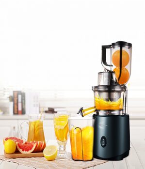 Máy ép chậm Gesun G500