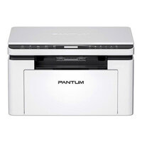 Máy in laser đen trắng Pantum P2320NW
