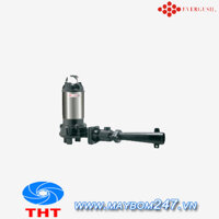 Máy sục khí chìm Evergush EFJ-20T 2HP