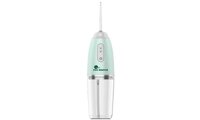 Máy tăm nước Fuji Master FJM-2933