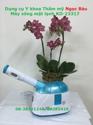 Máy xông mặt lạnh Kingdom KD-23317