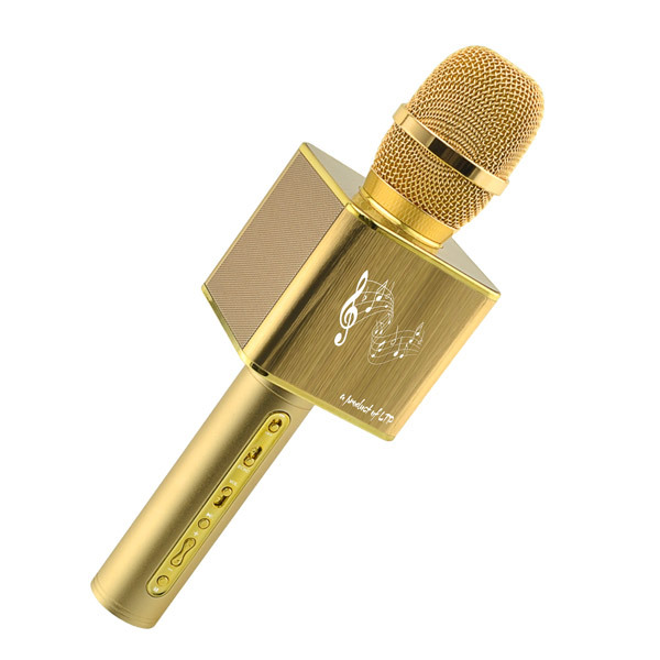 Micro karaoke LTP YS-12