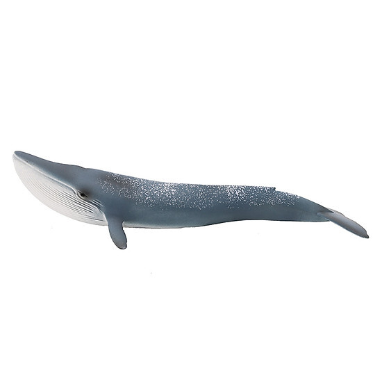 Mô hình cá voi xanh Schleich 14806