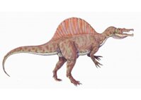 Mô hình khủng long Spinosaurus Safari