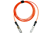 Module quang SFP Ruijie 10GBASE SFP+ Optical Stack Cable XG-SFP-AOC3M