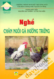 Nghề Chăn Nuôi Gà Hướng Trứng