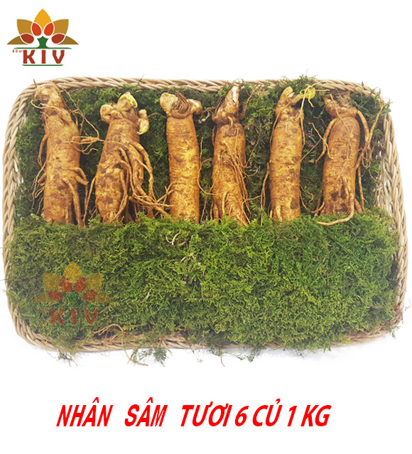 Nhân Sâm Tươi Hàn Quốc 6 củ/kg