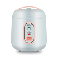 Nồi cơm điện mini Bennix BN-006HC - 0,6L