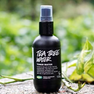 Nước hoa hồng Lush Tea Tree Water 100g