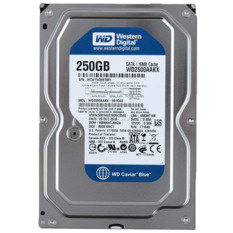 Ổ cứng gắn trong WD HDD 250G 7200rpm S-ATA3
