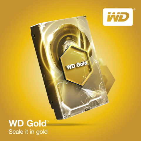 Ổ cứng HDD Western WD Gold 10TB WD101KRYZ