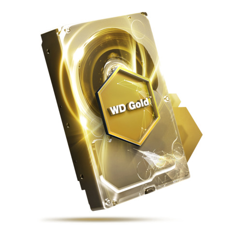 Ổ cứng HDD Western WD Gold 1TB WD1005FBYZ