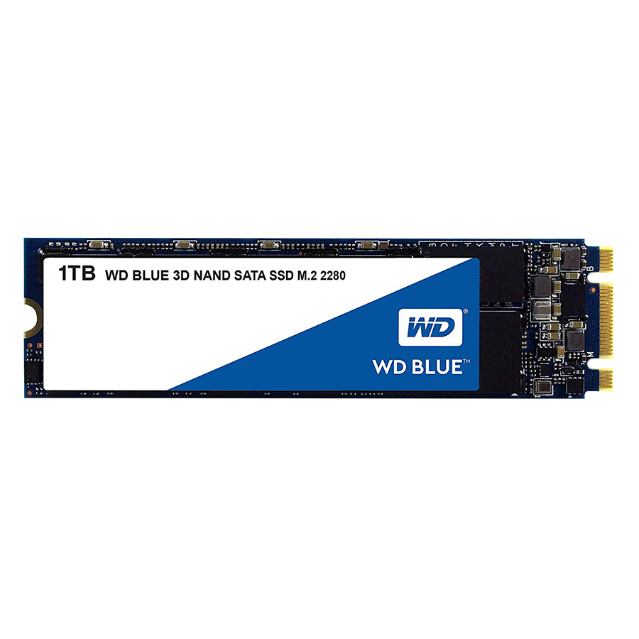 Ổ Cứng SSD WD Blue 1TB SATA M.2 2280 (WDS100T2B0B)